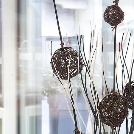 Primavera 3* ستريزا